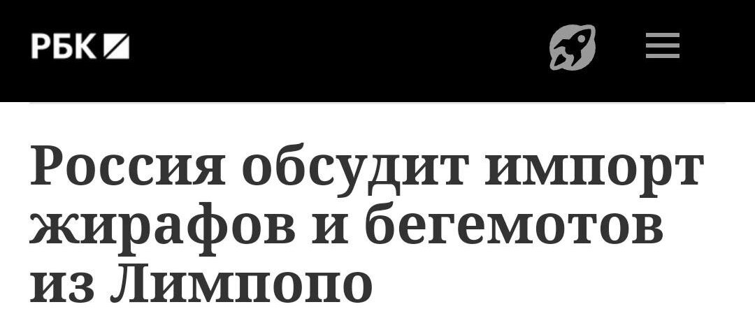 иллюстрации к рассказу мушка чаплина. иллюстрации к рассказу мушка чаплина. с. мушка рассказ чаплиной. мушка читать.