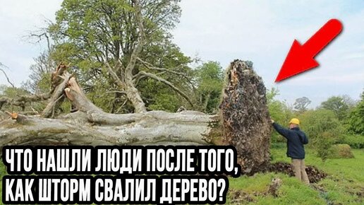 рассказы истории любви дзен яндекс. дзен цитаты. читать на дзен я больше не буду. буддийская мудрость. дзен яндекс читать рассказы.