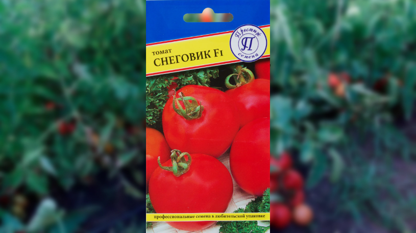 Снеговик F1. Кустики высотой 50-70 см на открытой грядке, а в условиях теплицы достигается до 120 см. 