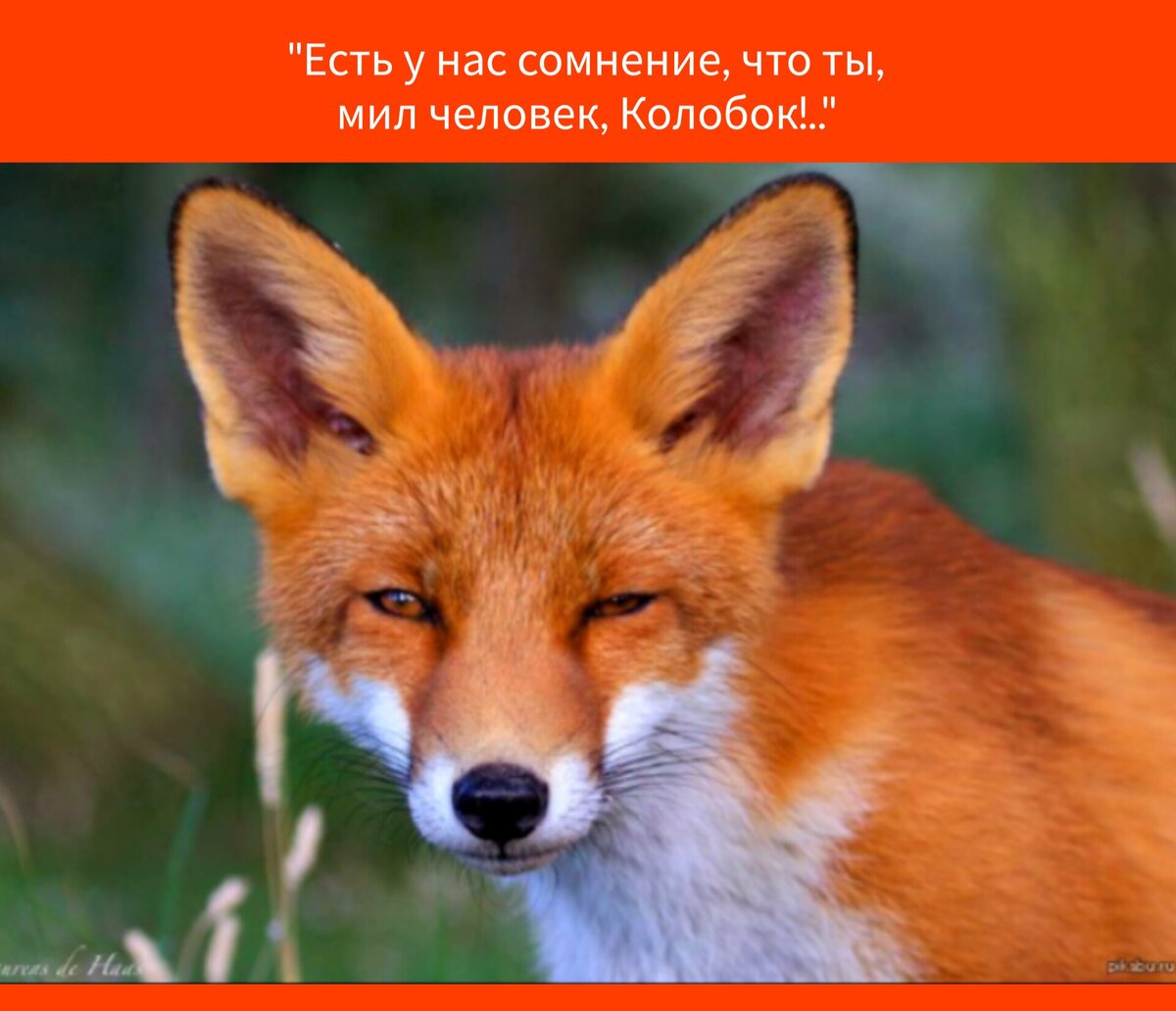 Решительно ничего