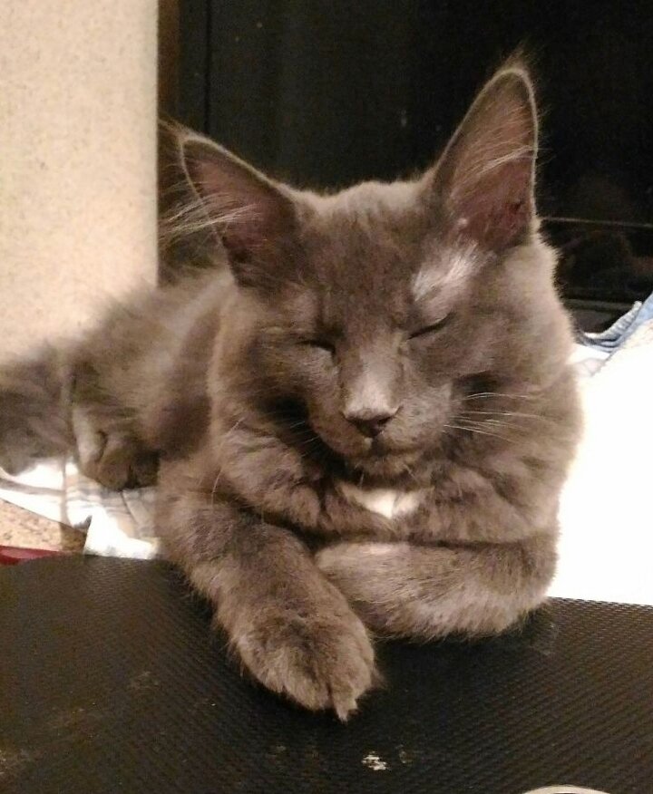 Милашечка, правда?