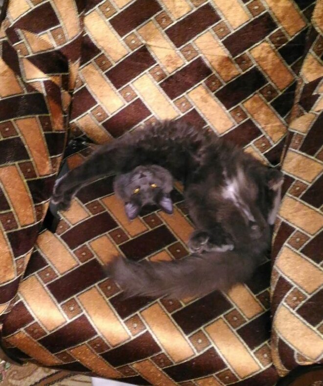 Подвиг в жизни человека. Какое название наиболее самоотверженных. Профессии на букву а. Подвиги совершенные людьми. Какое название наиболее самоотверженных.