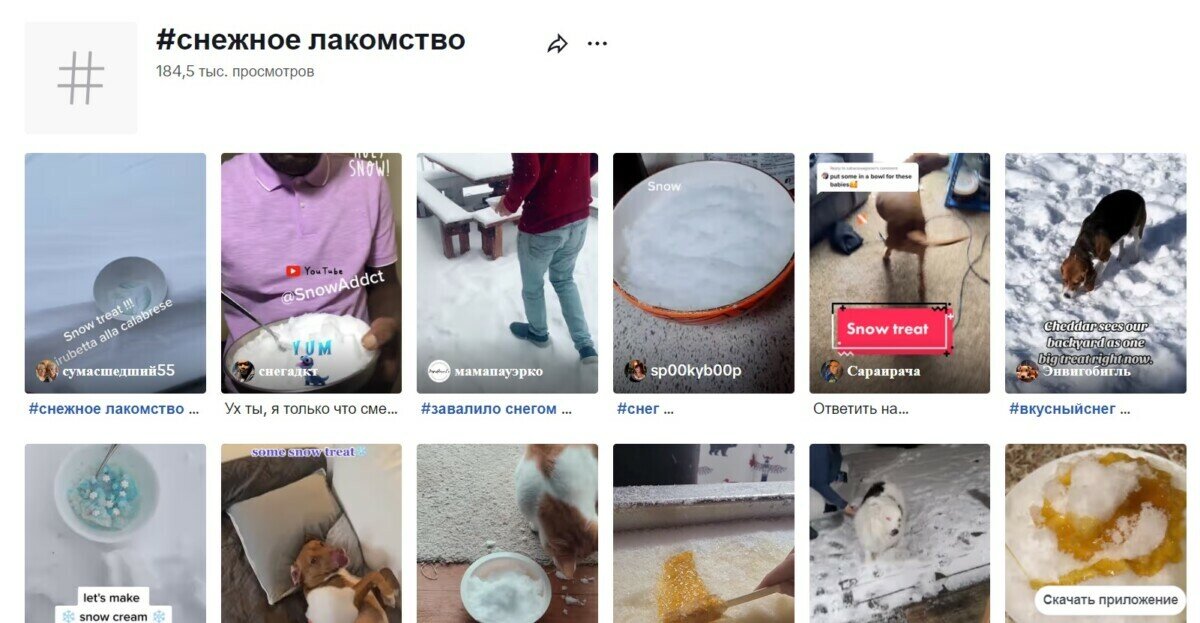 «Черт возьми, это так вкусно!» — Видеоролики с поеданием снега разделили TikTok на 2 лагеря. Что происходит? — Видео