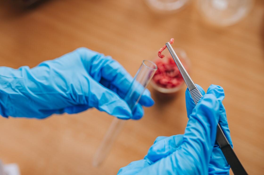    Кусочек фарша кладут в пробирку лабораторным пинцетом:Flickr/Ivan Radic