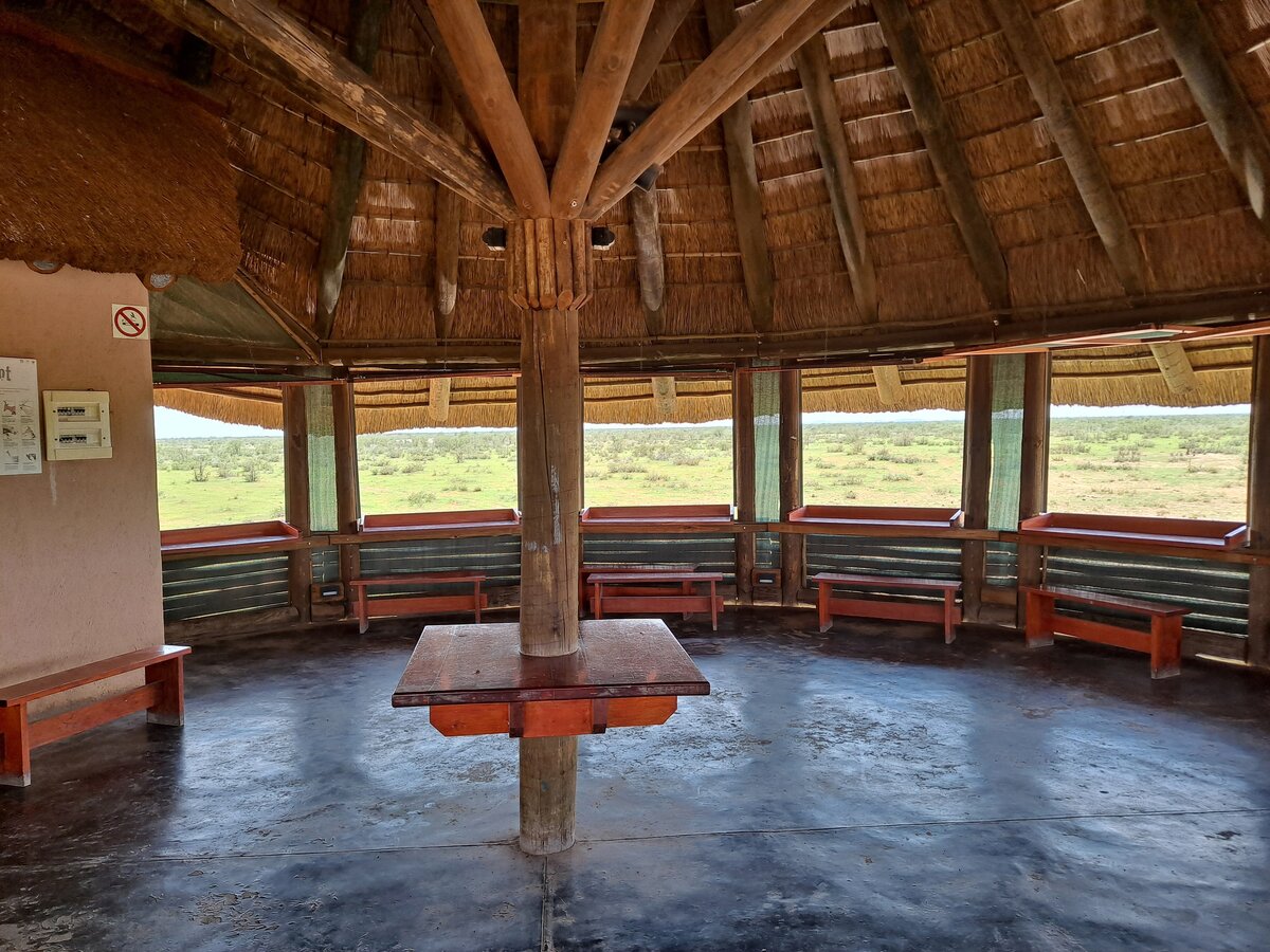 Этоша - моё первое африканское сафари 