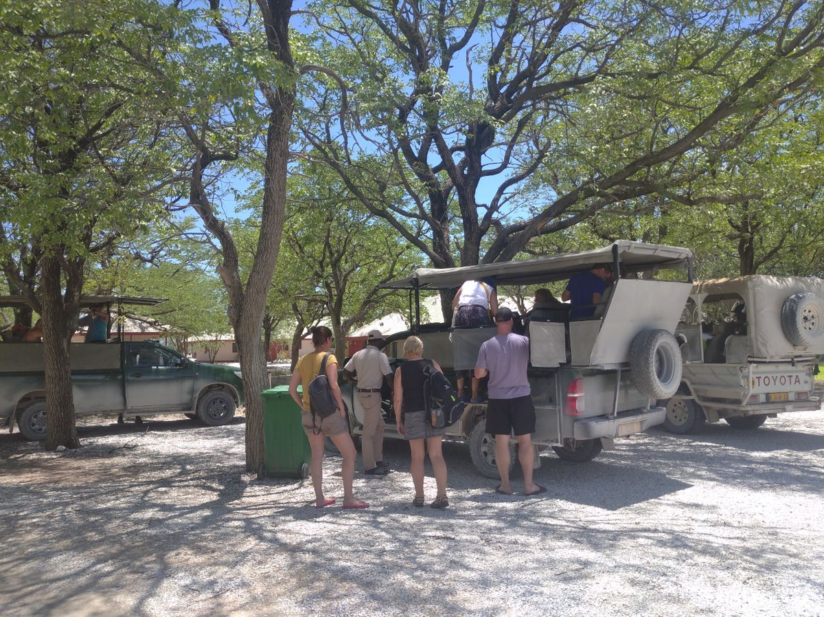 ÐÐ´Ð½Ð¾Ð¹ Ð¸Ð· Ð³Ð»Ð°Ð²Ð½ÑÑ Ð´Ð¾ÑÑÐ¾Ð¿ÑÐ¸Ð¼ÐµÑÐ°ÑÐµÐ»ÑÐ½Ð¾ÑÑÐµÐ¹ ÐÐ°Ð¼Ð¸Ð±Ð¸Ð¸ Ð¼Ð¾Ð¶Ð½Ð¾ Ð½Ð°Ð·Ð²Ð°ÑÑ Ð¿Ð°ÑÐº Ð­ÑÐ¾ÑÐ°. ÐÐ°ÑÐº Ð·Ð°Ð½Ð¸Ð¼Ð°ÐµÑ Ð¾Ð³ÑÐ¾Ð¼Ð½ÐµÐ¹ÑÑÑ ÑÐµÑÑÐ¸ÑÐ¾ÑÐ¸Ñ, ÑÐ°ÑÐºÐ¸Ð½ÑÐ²ÑÑÑÑÑ Ð½Ð° Ð¿Ð°ÑÑ ÑÐ¾ÑÐµÐ½ ÐºÐ¼ Ð² Ð´Ð»Ð¸Ð½Ñ Ð¸ 40-50 - Ð² ÑÐ¸ÑÐ¸Ð½Ñ.-11