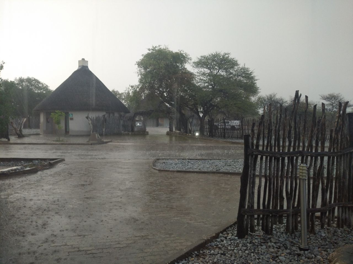 ÐÐ´Ð½Ð¾Ð¹ Ð¸Ð· Ð³Ð»Ð°Ð²Ð½ÑÑ Ð´Ð¾ÑÑÐ¾Ð¿ÑÐ¸Ð¼ÐµÑÐ°ÑÐµÐ»ÑÐ½Ð¾ÑÑÐµÐ¹ ÐÐ°Ð¼Ð¸Ð±Ð¸Ð¸ Ð¼Ð¾Ð¶Ð½Ð¾ Ð½Ð°Ð·Ð²Ð°ÑÑ Ð¿Ð°ÑÐº Ð­ÑÐ¾ÑÐ°. ÐÐ°ÑÐº Ð·Ð°Ð½Ð¸Ð¼Ð°ÐµÑ Ð¾Ð³ÑÐ¾Ð¼Ð½ÐµÐ¹ÑÑÑ ÑÐµÑÑÐ¸ÑÐ¾ÑÐ¸Ñ, ÑÐ°ÑÐºÐ¸Ð½ÑÐ²ÑÑÑÑÑ Ð½Ð° Ð¿Ð°ÑÑ ÑÐ¾ÑÐµÐ½ ÐºÐ¼ Ð² Ð´Ð»Ð¸Ð½Ñ Ð¸ 40-50 - Ð² ÑÐ¸ÑÐ¸Ð½Ñ.-17