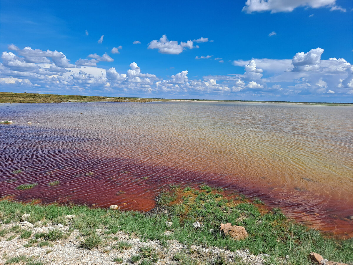 ÐÐ´Ð½Ð¾Ð¹ Ð¸Ð· Ð³Ð»Ð°Ð²Ð½ÑÑ Ð´Ð¾ÑÑÐ¾Ð¿ÑÐ¸Ð¼ÐµÑÐ°ÑÐµÐ»ÑÐ½Ð¾ÑÑÐµÐ¹ ÐÐ°Ð¼Ð¸Ð±Ð¸Ð¸ Ð¼Ð¾Ð¶Ð½Ð¾ Ð½Ð°Ð·Ð²Ð°ÑÑ Ð¿Ð°ÑÐº Ð­ÑÐ¾ÑÐ°. ÐÐ°ÑÐº Ð·Ð°Ð½Ð¸Ð¼Ð°ÐµÑ Ð¾Ð³ÑÐ¾Ð¼Ð½ÐµÐ¹ÑÑÑ ÑÐµÑÑÐ¸ÑÐ¾ÑÐ¸Ñ, ÑÐ°ÑÐºÐ¸Ð½ÑÐ²ÑÑÑÑÑ Ð½Ð° Ð¿Ð°ÑÑ ÑÐ¾ÑÐµÐ½ ÐºÐ¼ Ð² Ð´Ð»Ð¸Ð½Ñ Ð¸ 40-50 - Ð² ÑÐ¸ÑÐ¸Ð½Ñ.-13