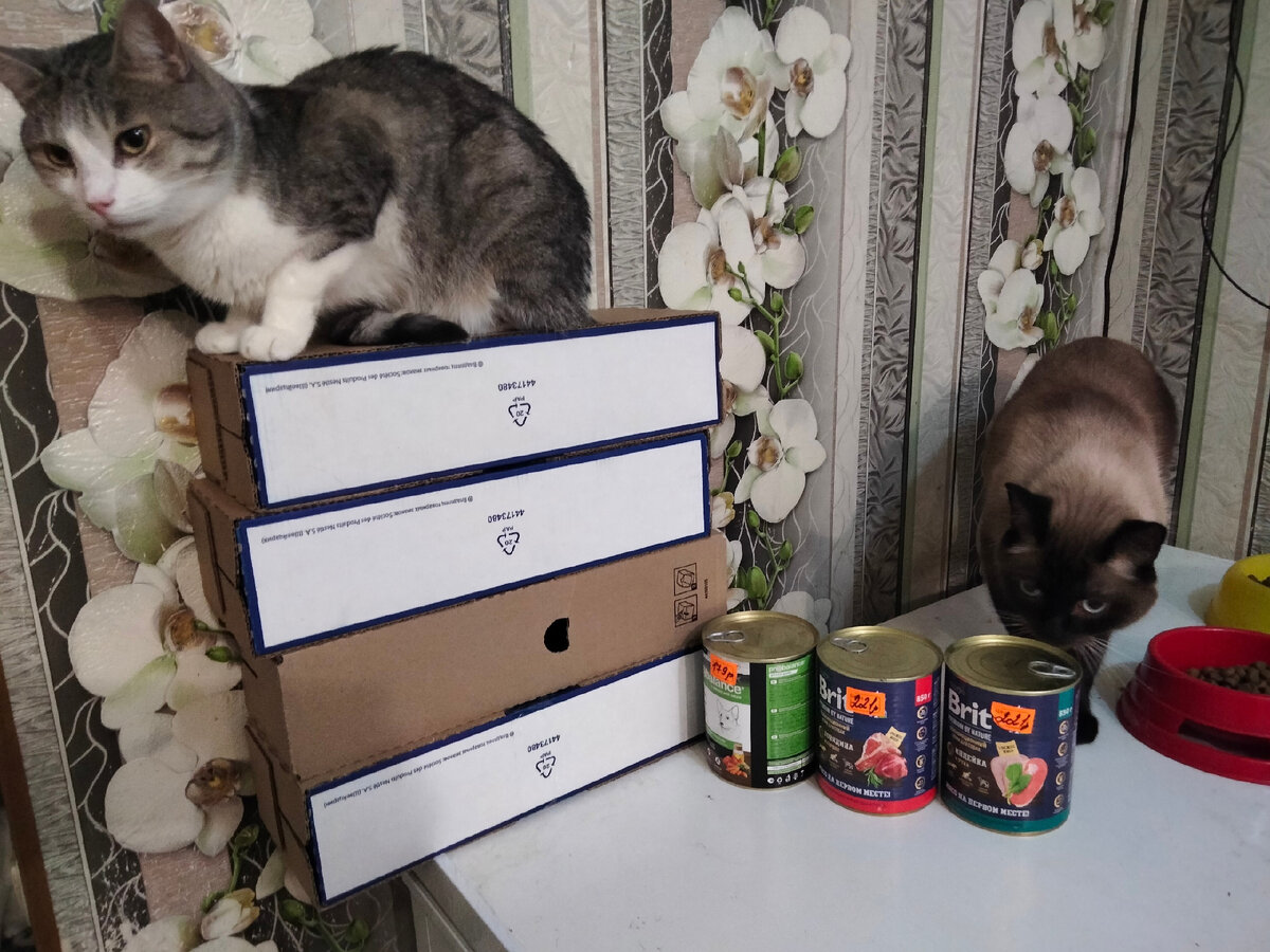 вечный город сканворд. кроссворд на 23 февраля. кроссворд герой нашего времени с ответами. вечный город сканворд. вечный город сканворд.