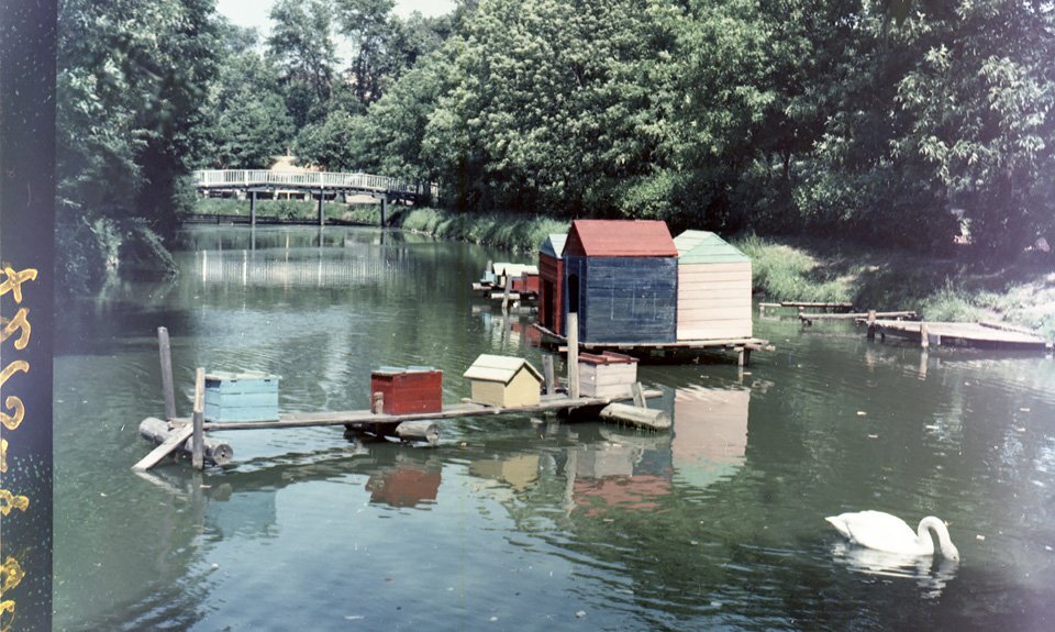 Владислав Агафонов. Краснопресненский парк культуры и отдыха. 1961