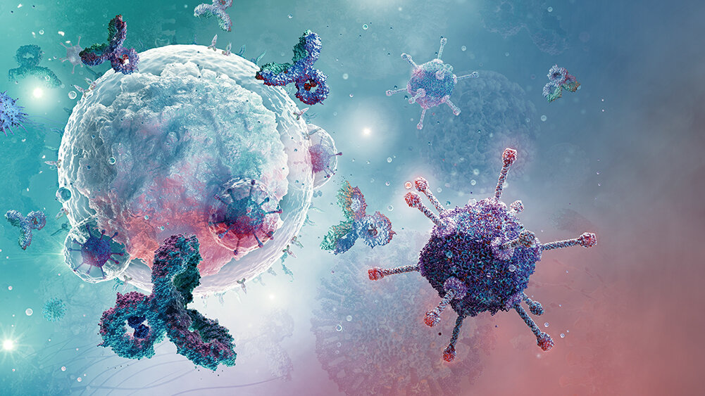    Фото: Shutterstock