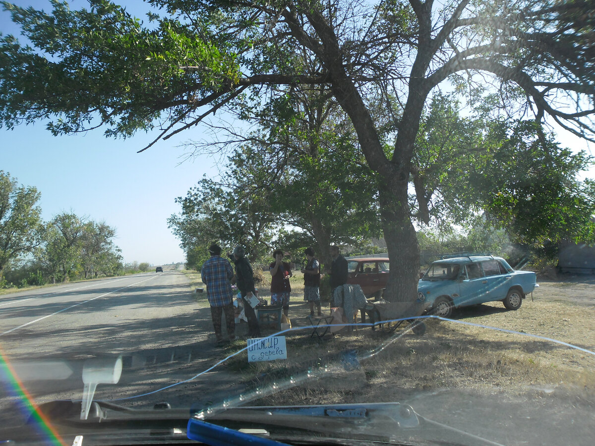 По дороге постоянно попадались такие вот торговые точки. Персики, инжир, виноград и прочие витамины. Все не дорогое. 50-100 рэ. Арбузы вообще по 5 руб. 