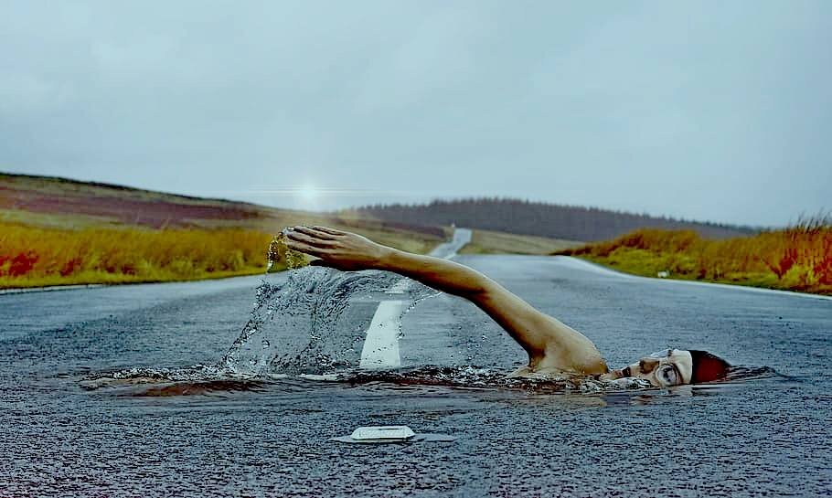 Фото из открытого источника piqsels.com