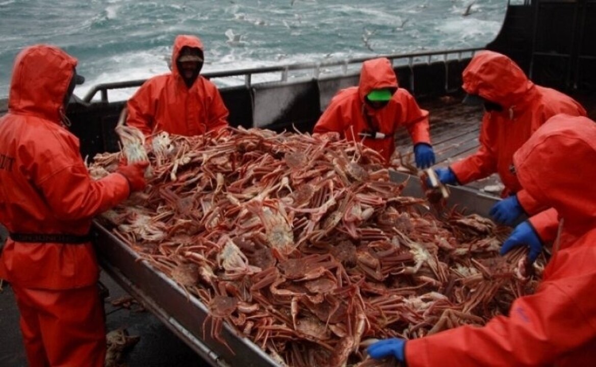    Генпрокуратура подала иски о взыскании 376 млрд рублей с крупнейших добытчиков краба