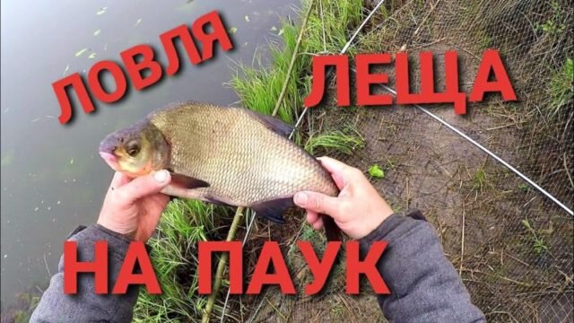 Как сделать Паук Подъёмник для рыбалки Fishing Lift Spider