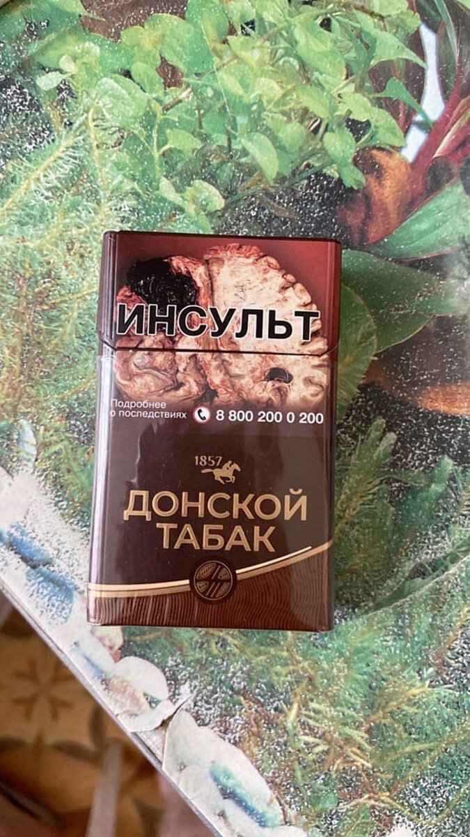 века и года. история пдд. историческая хронология. восточный гороскоп по годам таблица. название годов по животным по порядку таблица.