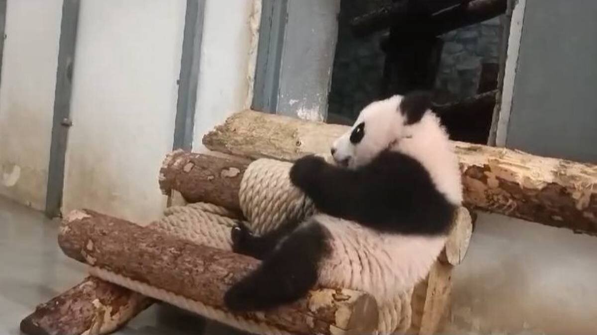    Фото: Telegram / Светлана Акулова