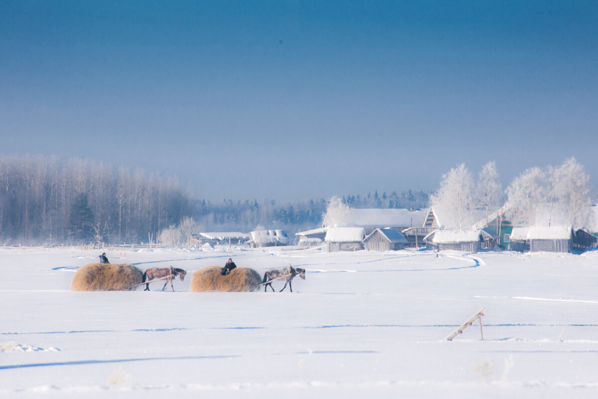 фото: Konstantin Kokoshkin/Russian Look/Global Look Press