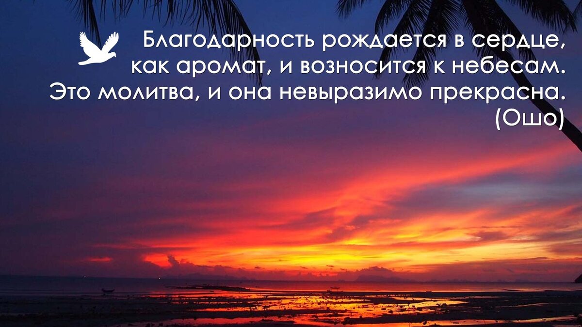 Благодарность как характеризует умение быть благодарность. Благодарность цитаты. высказывания о благодарности. спасибо цитаты. благодарю цитаты.