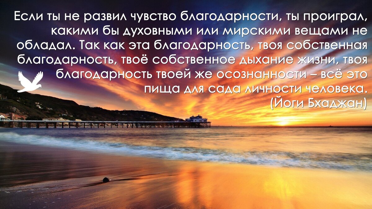 Пример из жизни на тему благодарность