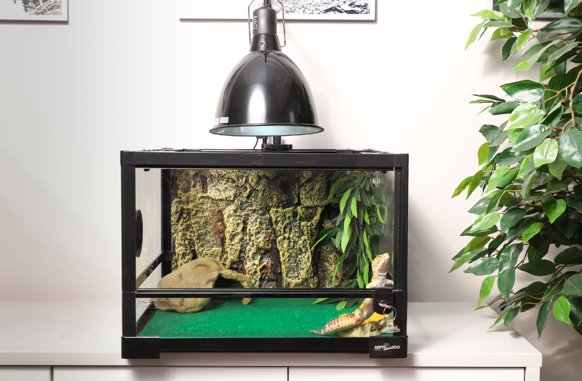 На фото – террариум REPTI-ZOO с одной дверцей 0103RKNS.
