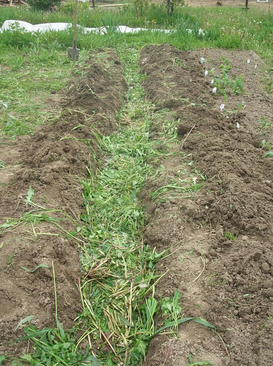 Фото из архива 2007г – освоение целины