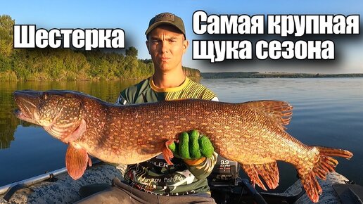 ШЕСТЕРКА! САМАЯ КРУПНАЯ ЩУКА СЕЗОНА! РЫБАЛКА В КОРЯГАХ.