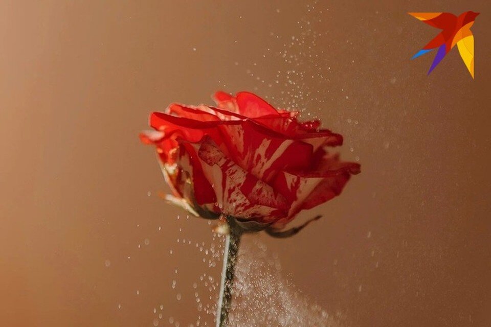 человек с ключом в спине. нас ключиком заводят. дверь в любовь. младенец и ключ. ключи картинки современные.