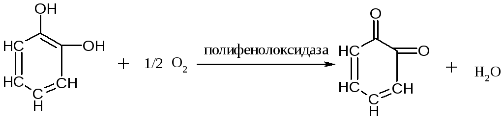 связывание радикалов кислорода при помощи фенольного кольца и образование безвредной эндогенной воды