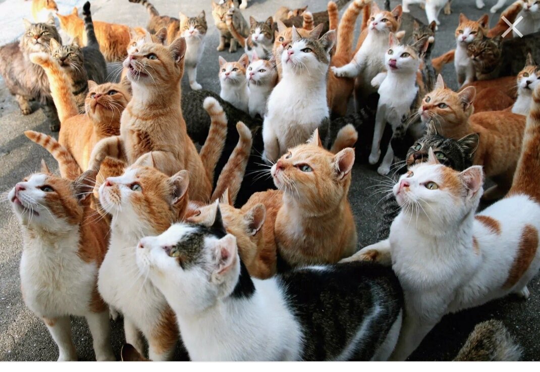 Фото из свободного доступа из интернета