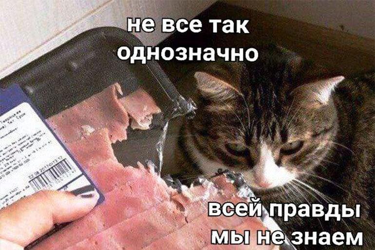 источник Яндекс-картинки