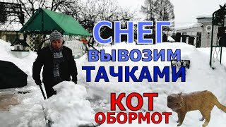 Снег вывозим тачками. А может Коту кое-что отрезать? Лука много не бывает