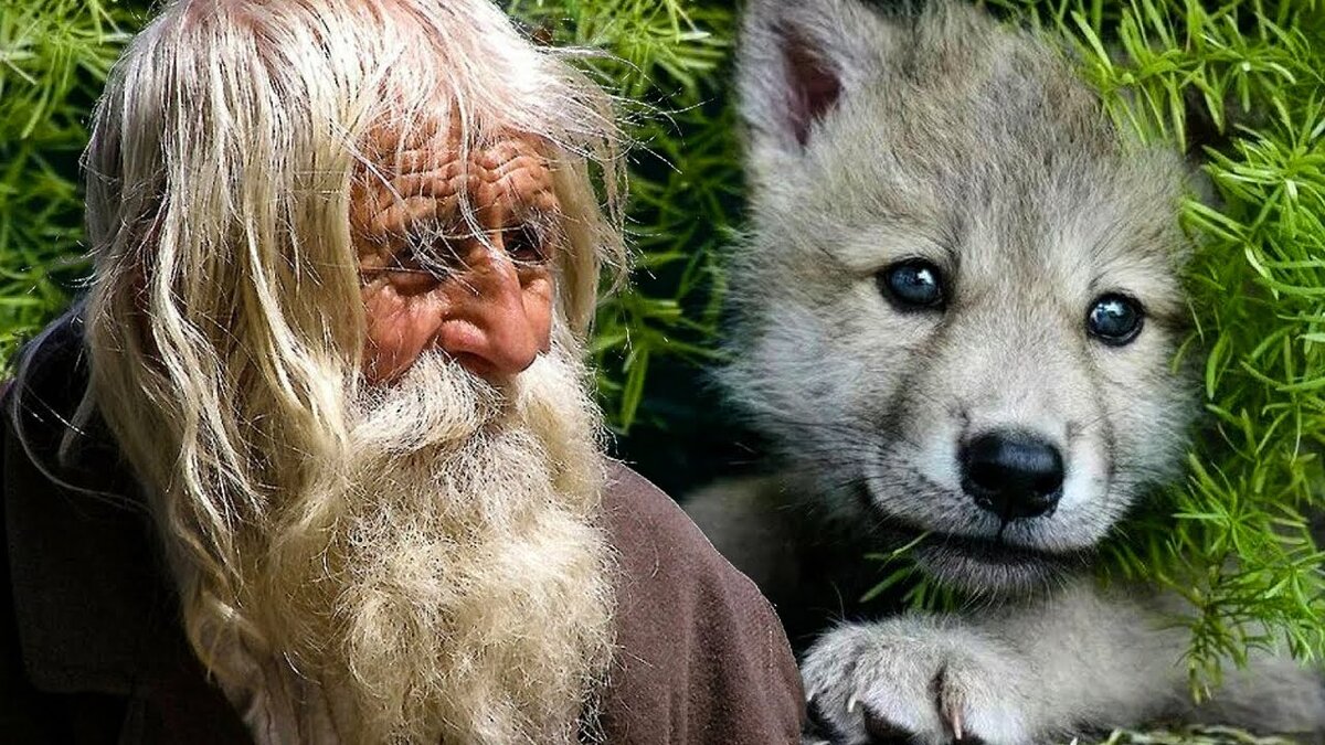 фото из свободного доступа