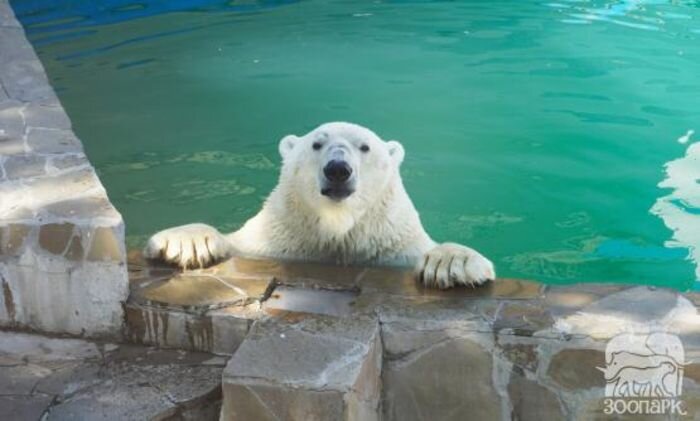 Источник фото: vk.com/rostov_zoo_official