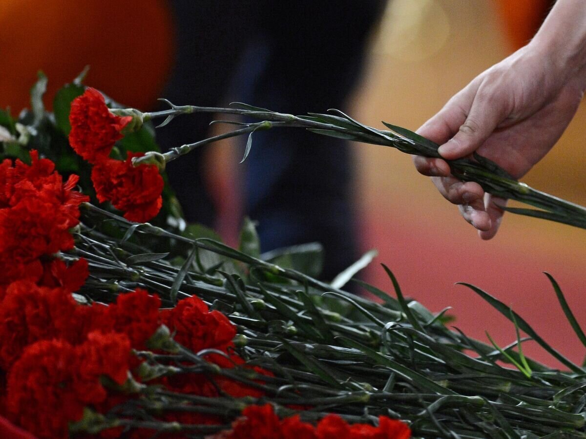    Гвоздики© РИА Новости / Рамиль Ситдиков