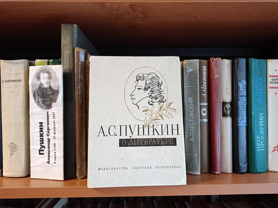Библиотека читать пушкин. Библиотека читать пушкин