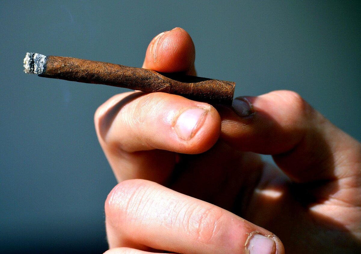 Брошенный окурок в лесу. Балийские сигареты. Сигары или сигареты. Последняя сигарета. Последняя сигарета лета.