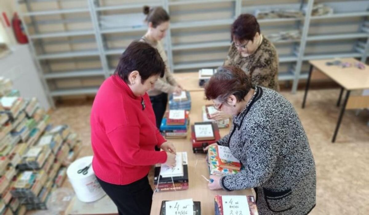 концепция модельной библиотеки. современная библиотека. библиотека филиал 13 ставрополь. развитие модельной библиотеки. модельная библиотека гашкова, 20 пермь.