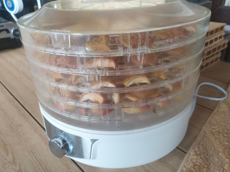     Фото: архив "МК в Калуге"