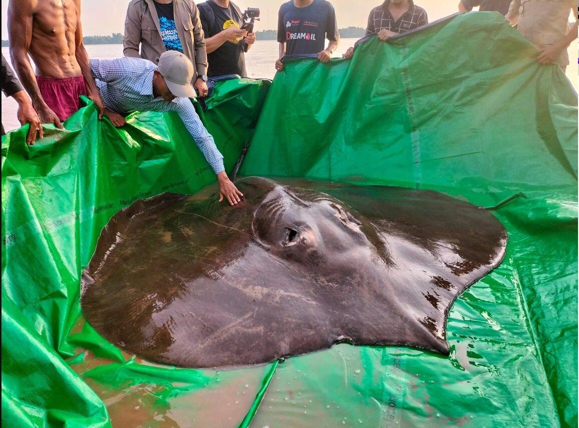 советские плакаты про рыбу. советские плакаты по технике безопасности на производстве. учебные плакаты ссср. не воруй советский плакат. советские плакаты про рыбу.