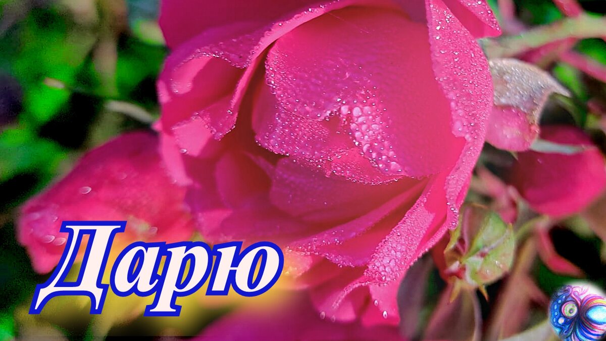 Фото автора с обработкой