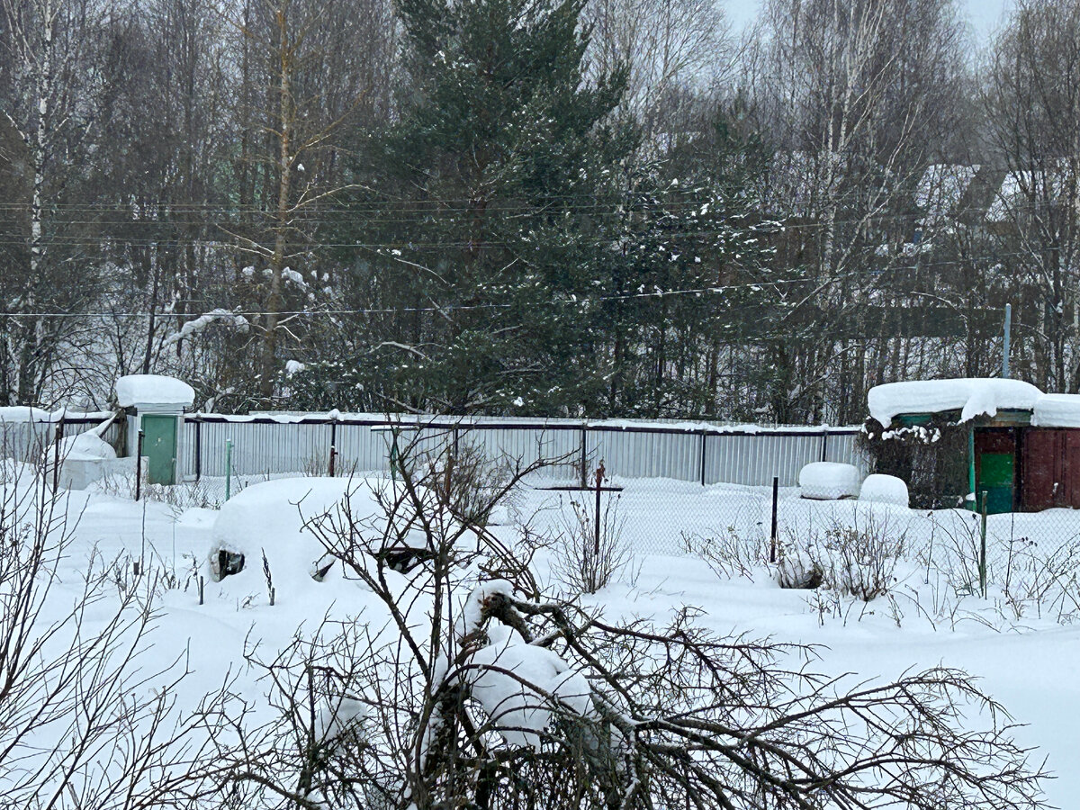 как написать заявление на приватизацию земельного участка. заявление о передаче садового участка. справка из снт. заявление по приватизации земельного участка. снт заявление на земельный участок.