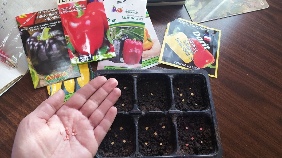 Календарь посадки перца. Благоприятные дни для посева перца в марте. Календарь посадки рассады. Лунный календарь для посадки семян. Лунный календарь для посева семян.