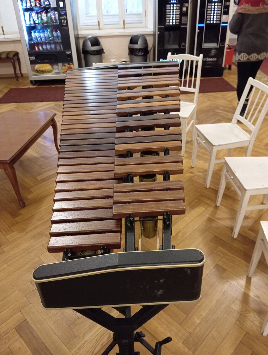 Фойе концертного зала. Листайте галерею