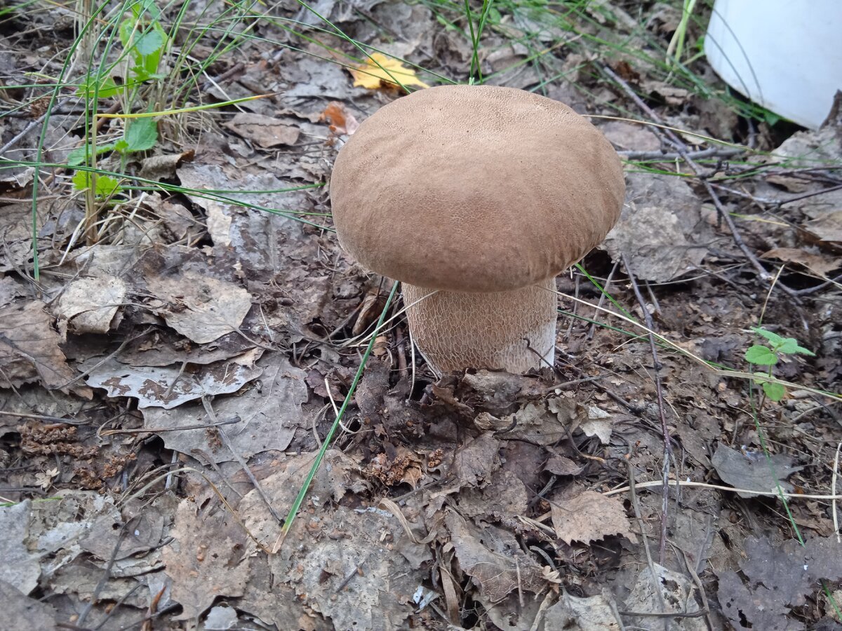 Автор фото Игорь Белоносов