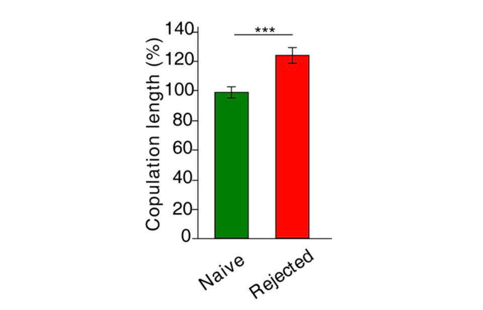   Julia Ryvkin et al. / PLOS Genetics, 2024