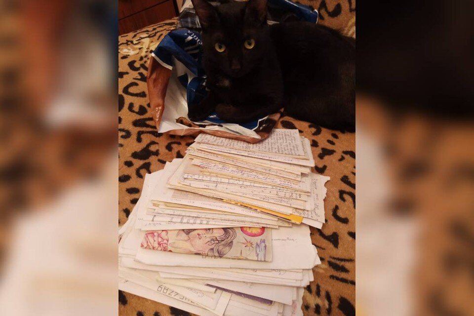 живу обломками не той любви