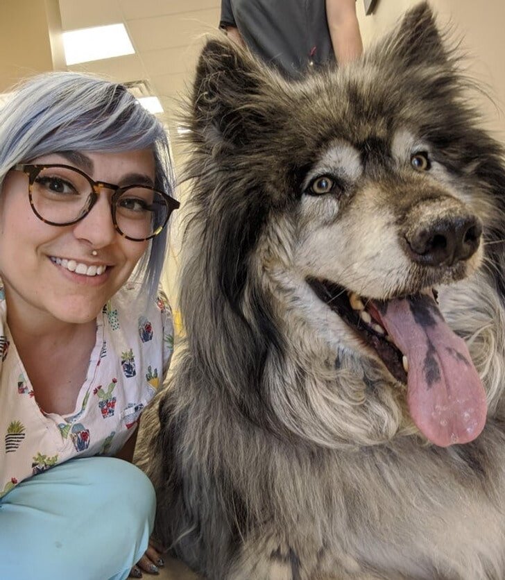 настоящий друг. какие бывают друг человека. черты характера человека. какие бывают друг человека. какие бывают друг человека.