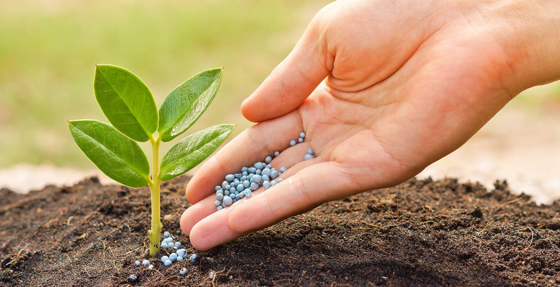 Экологизация сельского хозяйства. Сельскохозяйственная экология. Биотехнологии в экологии. Сельскохозяйственная экология. Сельскохозяйственная экология изучает.