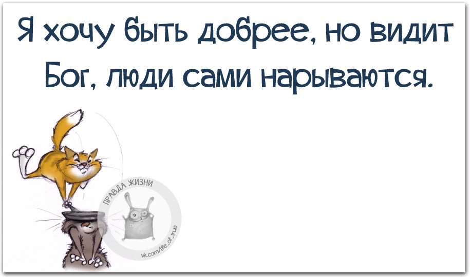 Яндекс.Картинки